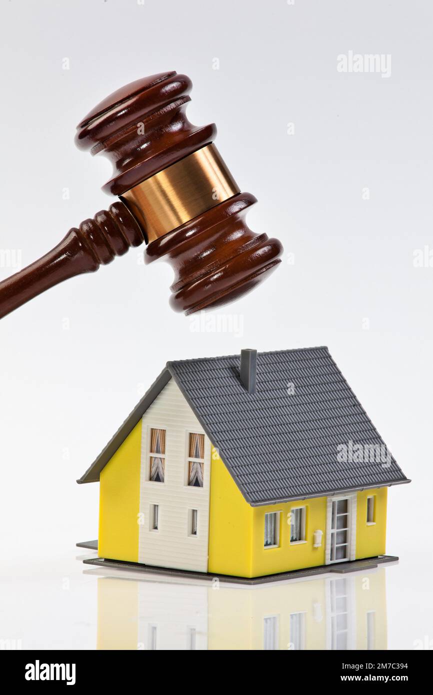 auction hammer/justice hammer with house, cutout, Japan Stock Photo