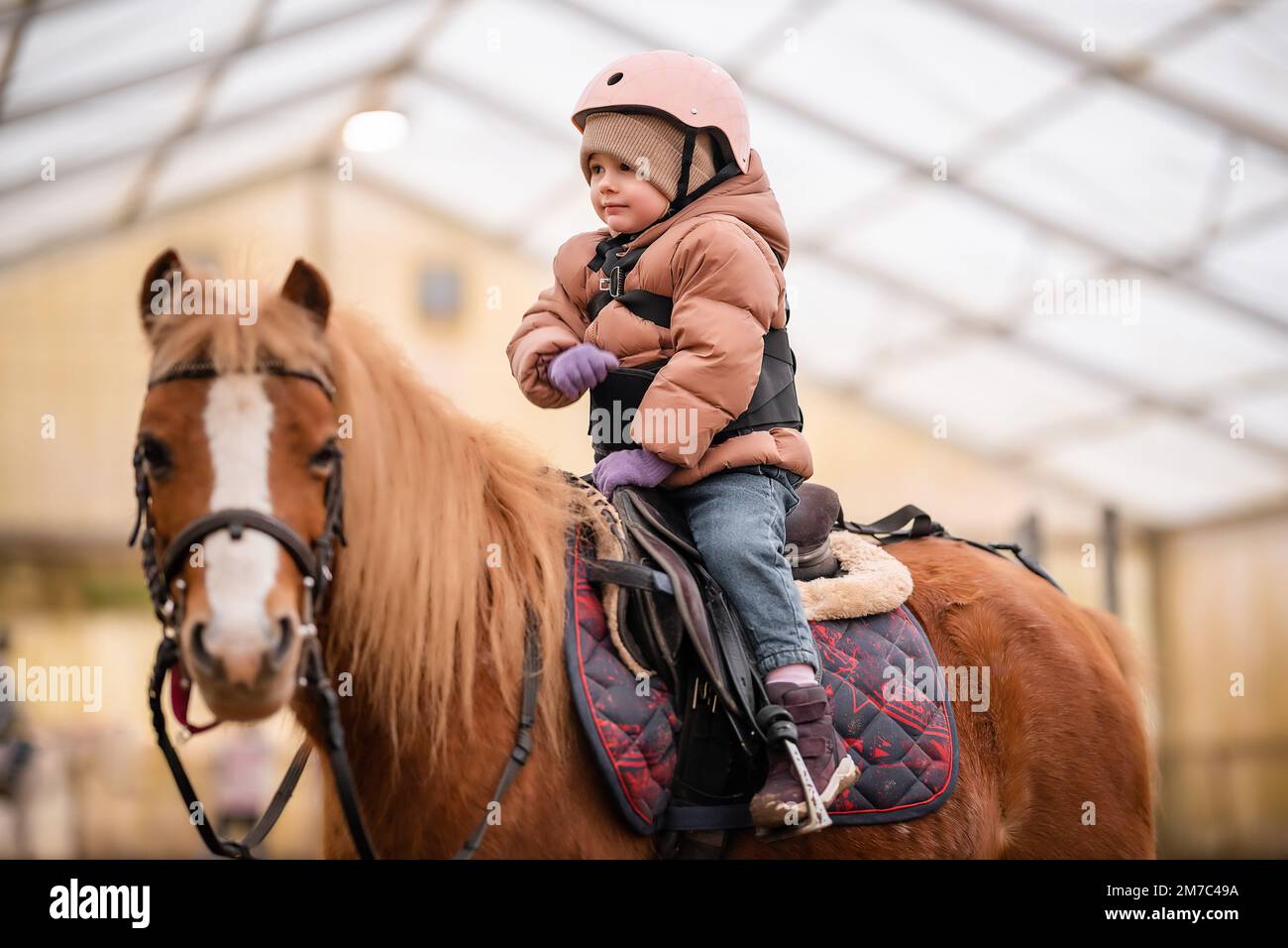 Little Child Riding Lesson. Threeyearold girl rides a pony and does
