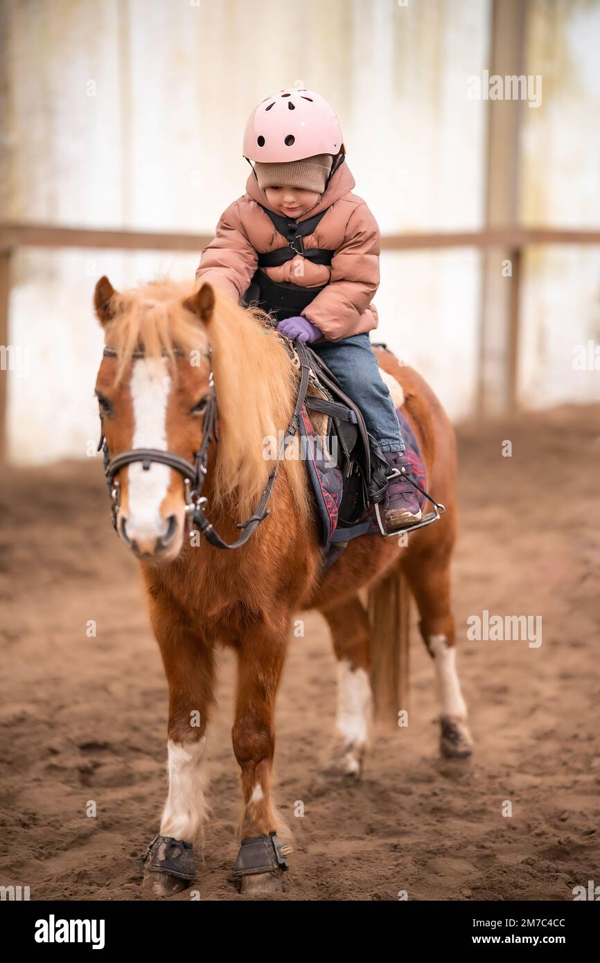 Little Child Riding Lesson. Threeyearold girl rides a pony and does