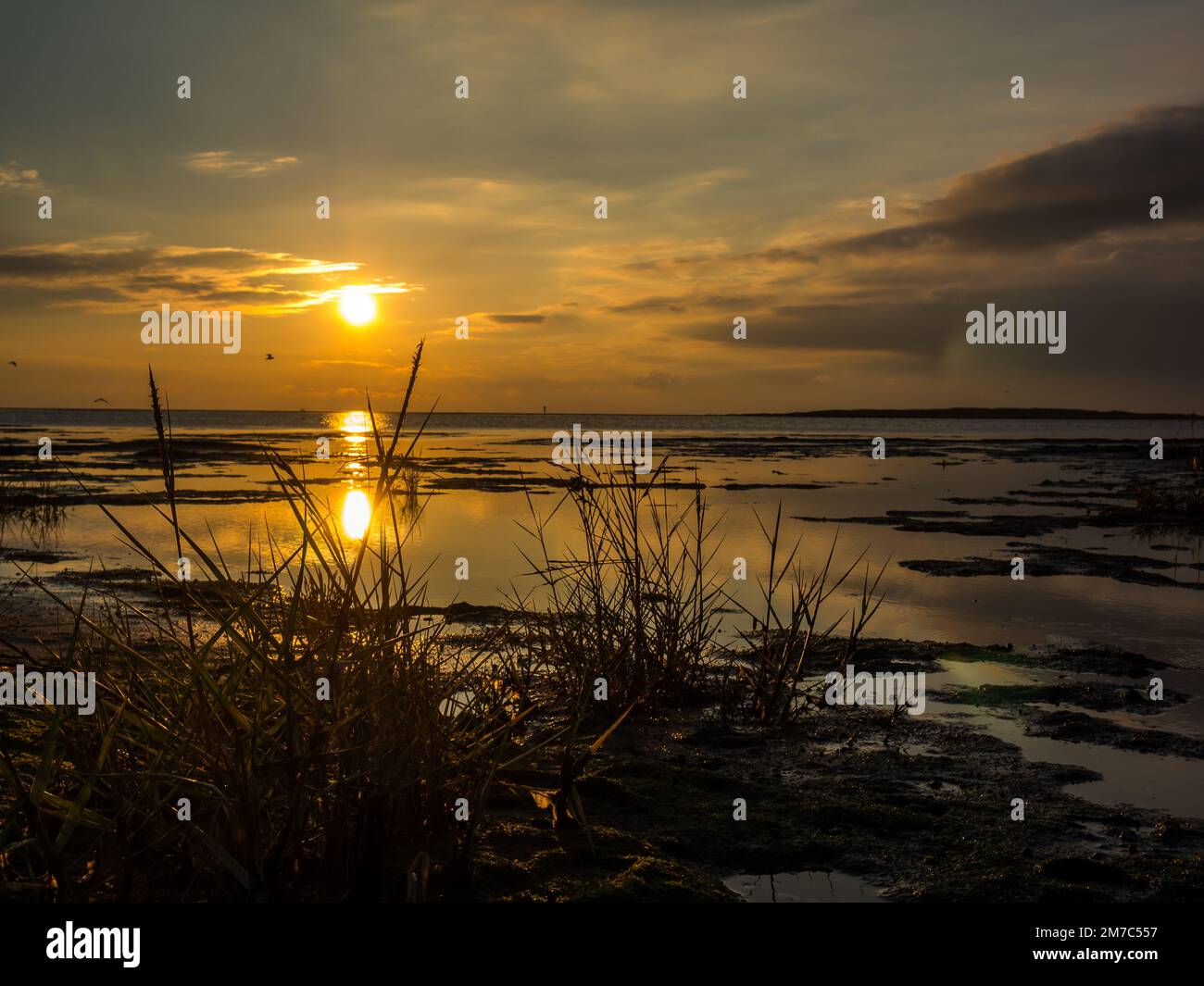 Sunset at the Wadden Sea at the North Sea Stock Photo - Alamy