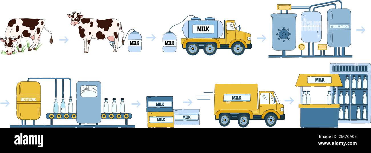 Milk manufacturing process. Dairy products processing line, way from