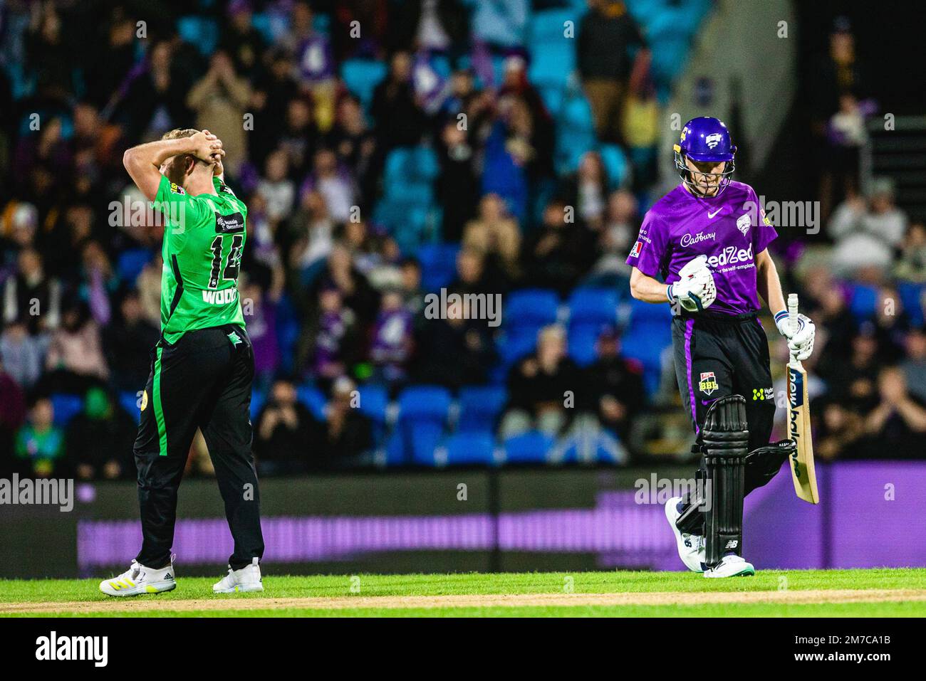 Cricket scores big sale bash