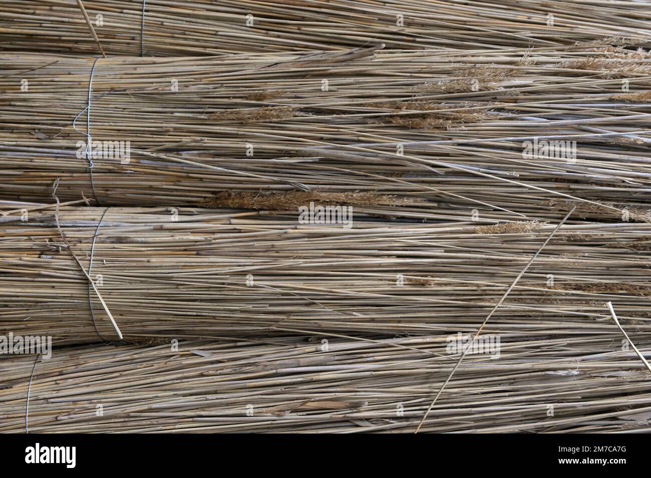 Strawer straw in barn Stock Photo - Alamy