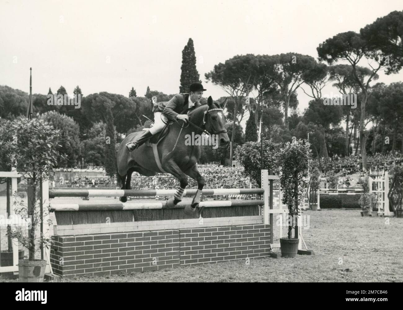 Rider at the horse jumping show in Piazza di Siena, Rome, Italy 1960s Stock Photo