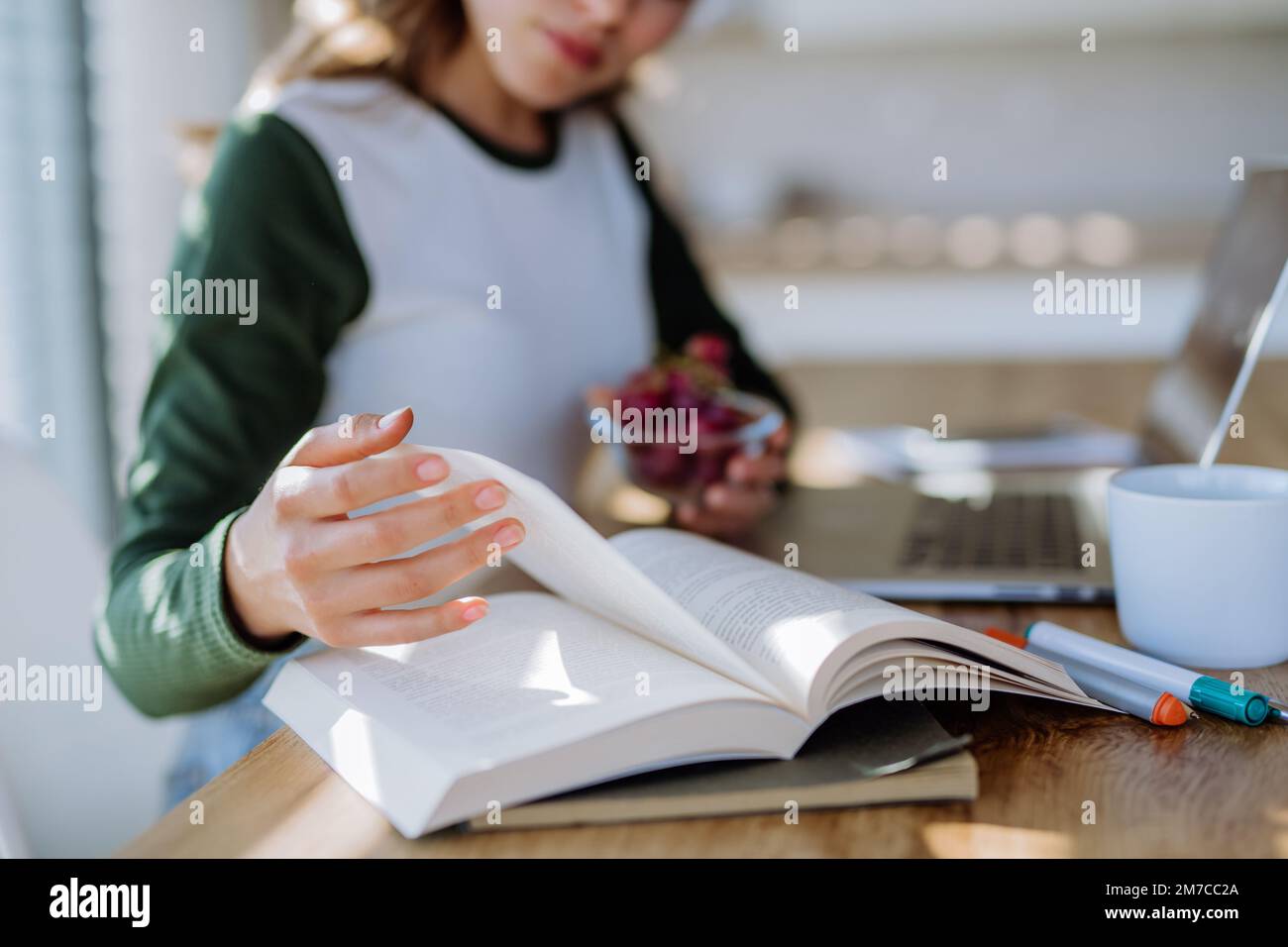 Young woman having distance education in her apartment. Stock Photo