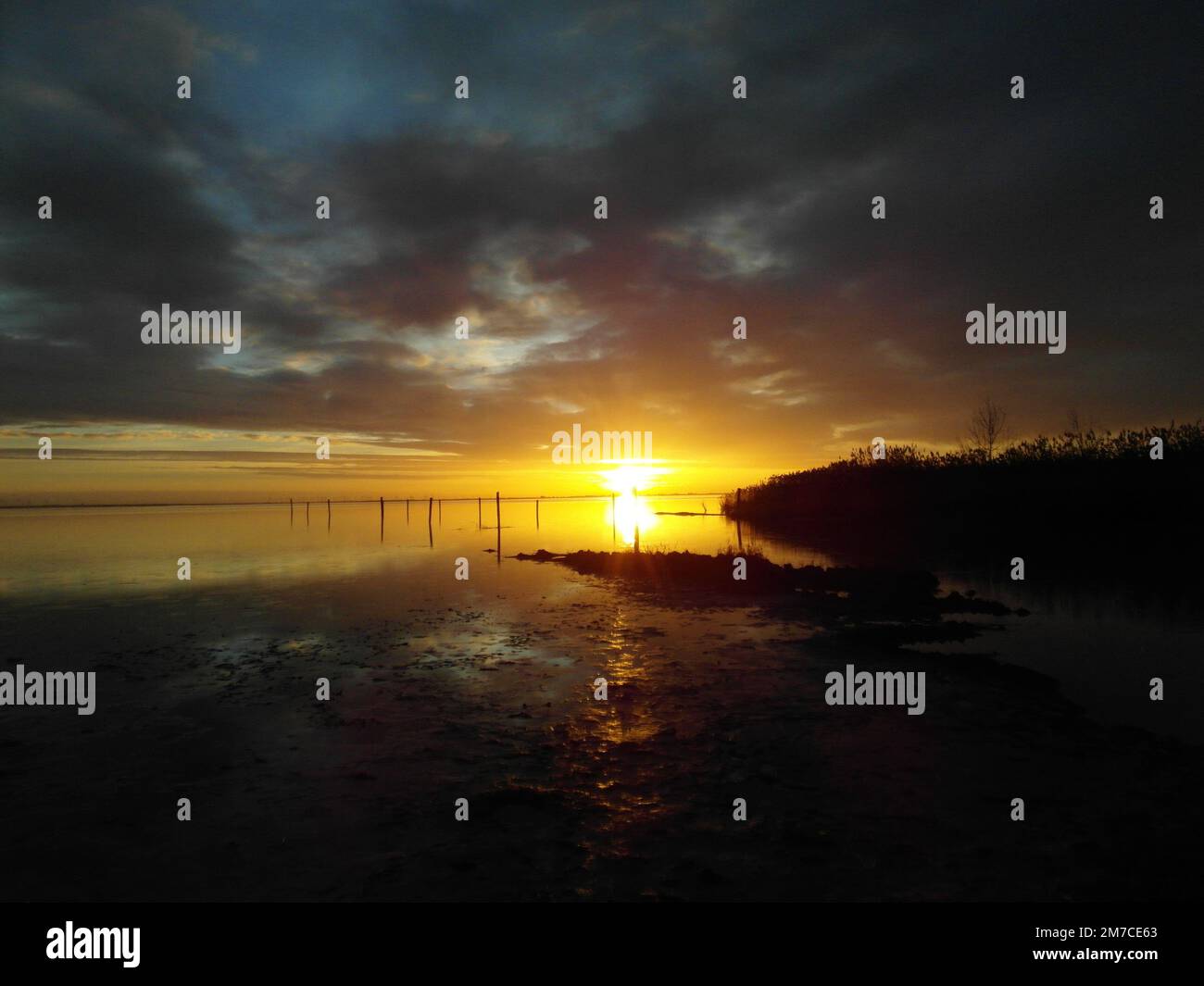 Sunrise at the Lake / Neusiedlersee Stock Photo