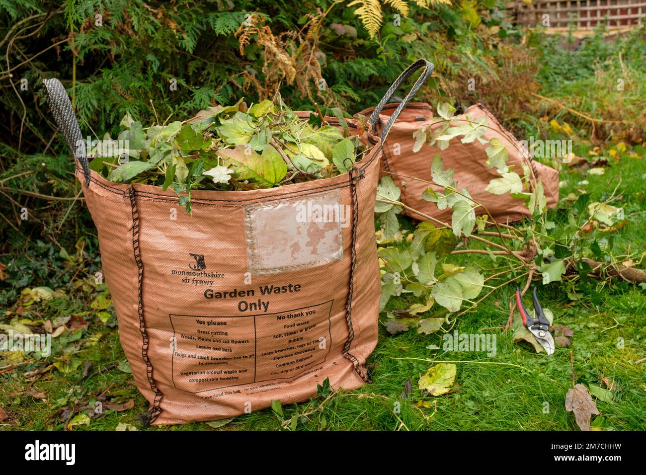 Hedge clippings bagged up ready for recycling in Monmouthshire, Wales. Stock Photo