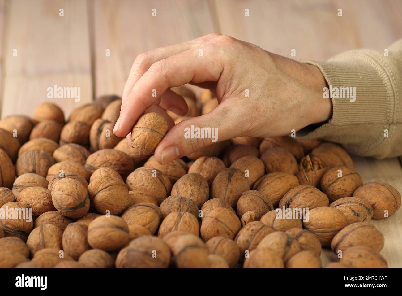walnut in the fingers of a person's hand against the background of nuts