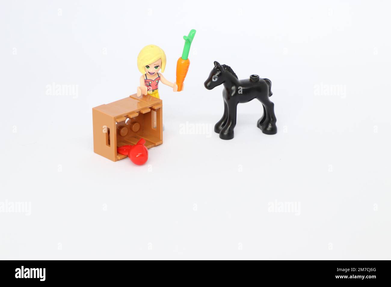a black horse with a crate containing a carrot and an apple. Lego minifigure girl Stock Photo