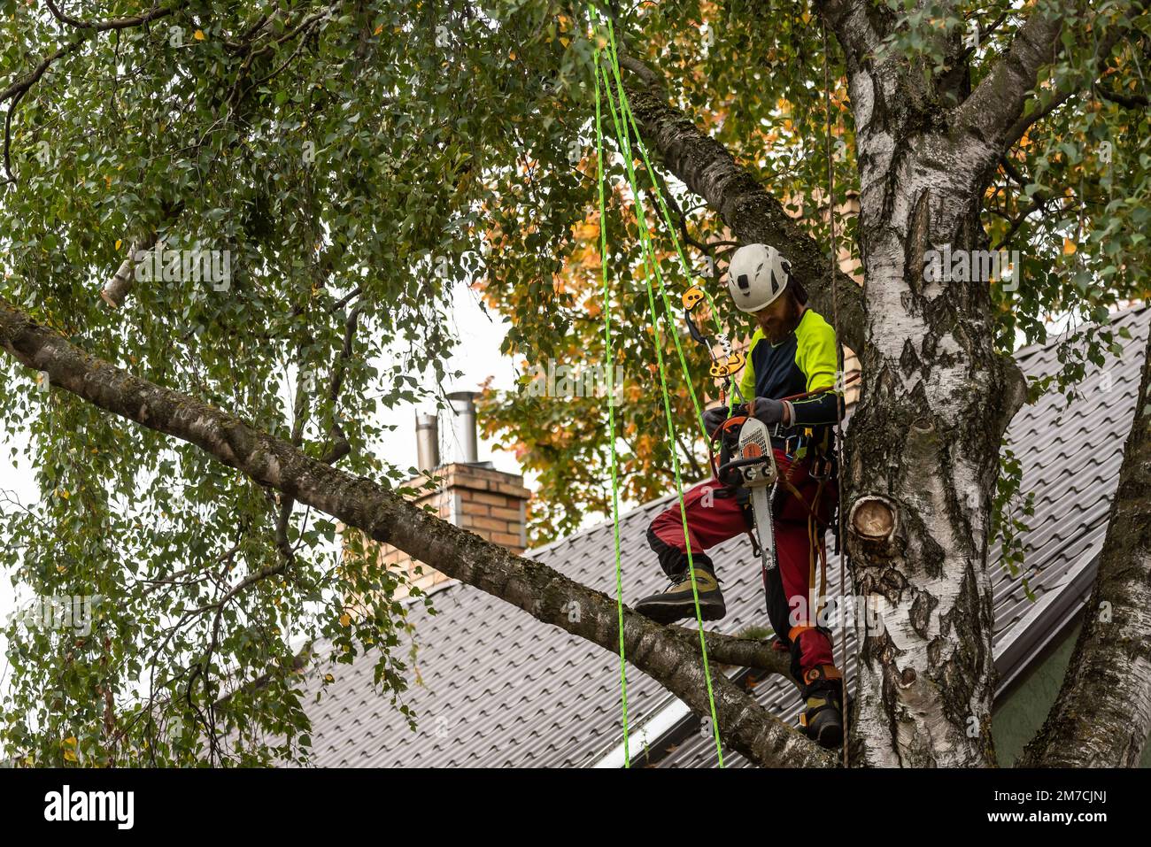 RIGA, LATVIA. 28th September 2020. Selective focus photo. Arborist on