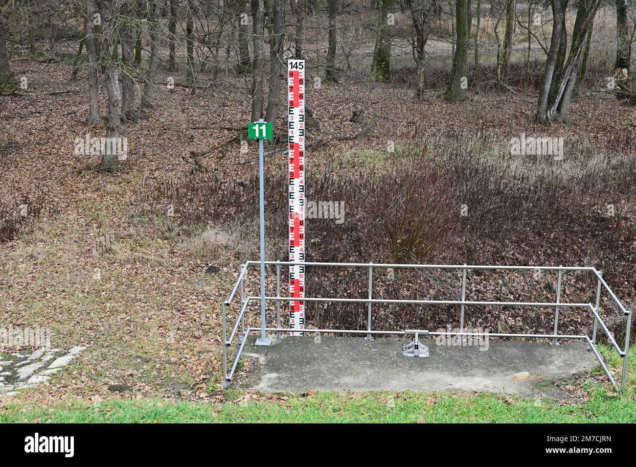 Lower Austria, Austria. Marchauen nature reserve in the floodplain of the March Stock Photo