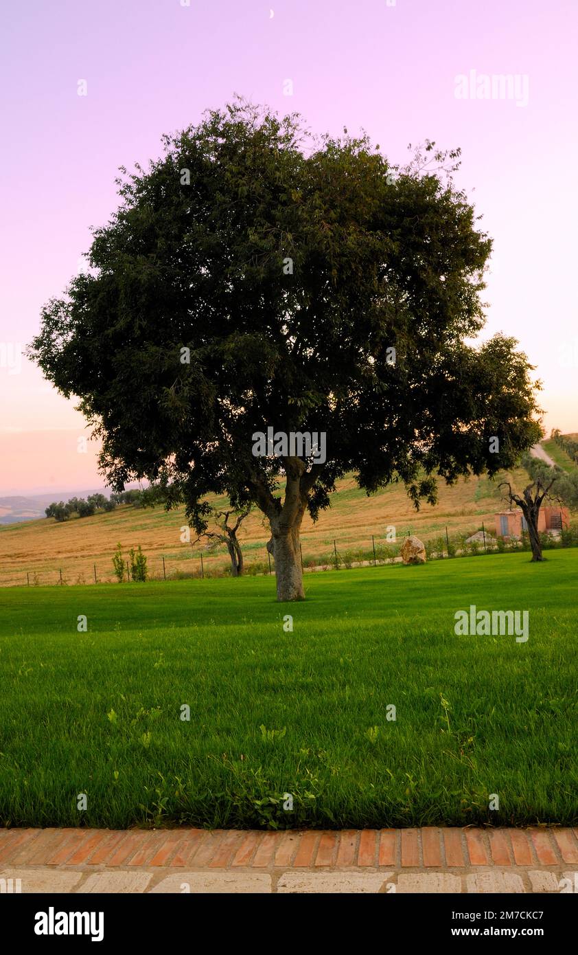 Grassy expanse hi-res stock photography and images - Alamy