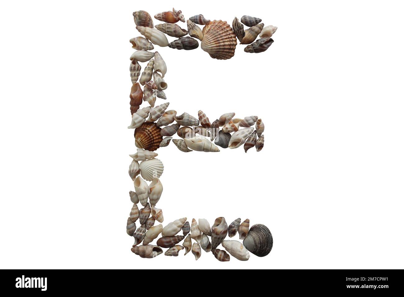 Letter E made with sea shell isolated on white background. Summer concept idea. Stock Photo
