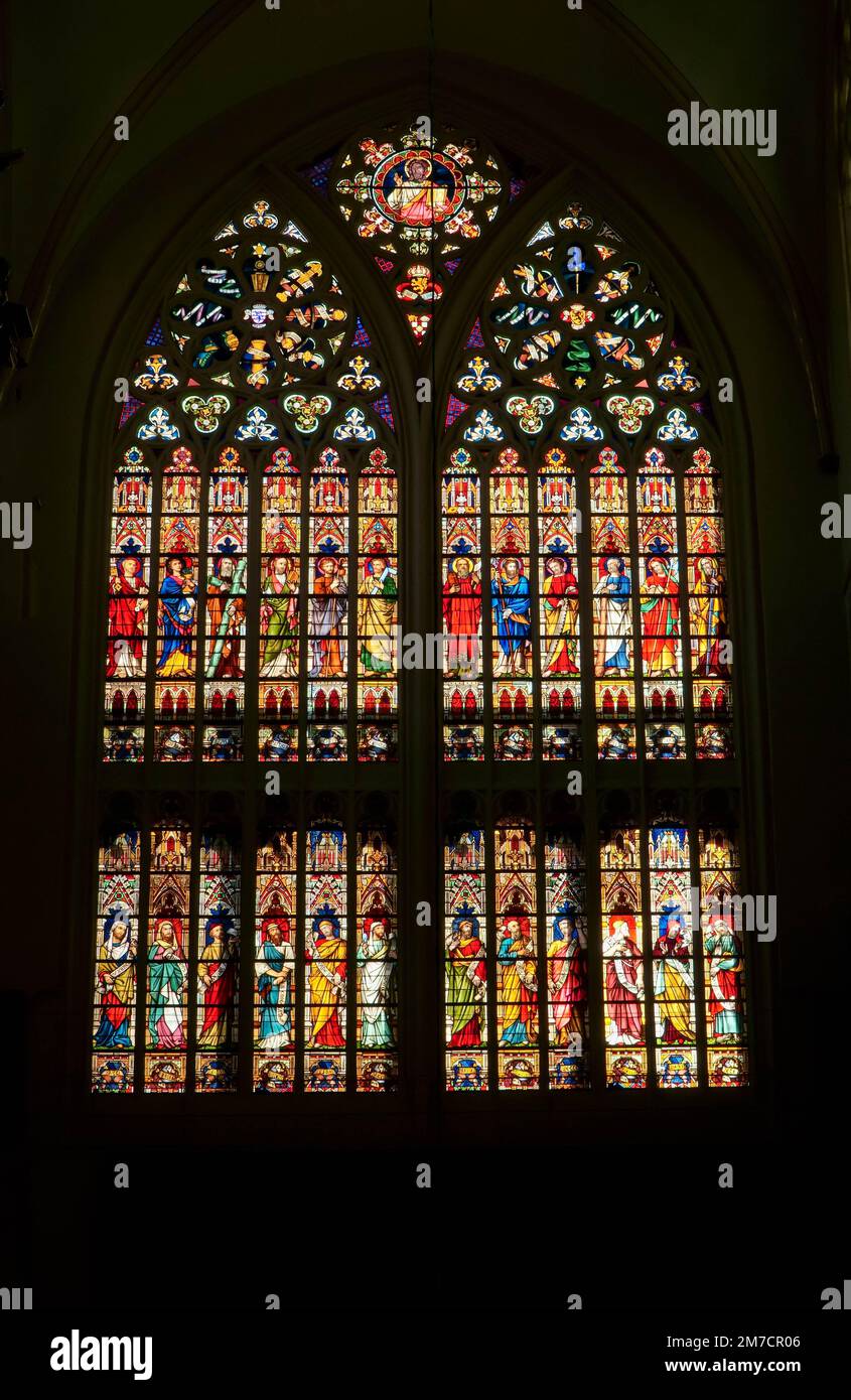 Stained glass depicting the 12 Apostles in the upper section and the 12 Prophets in the lower section, St Salvador's Cathedral Bruges, Belgium. Novemb Stock Photo