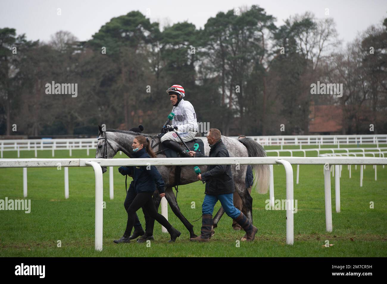 Ashdown Forest Tops Skelton Trio in Female Jockeys’ Handicap Hurdle