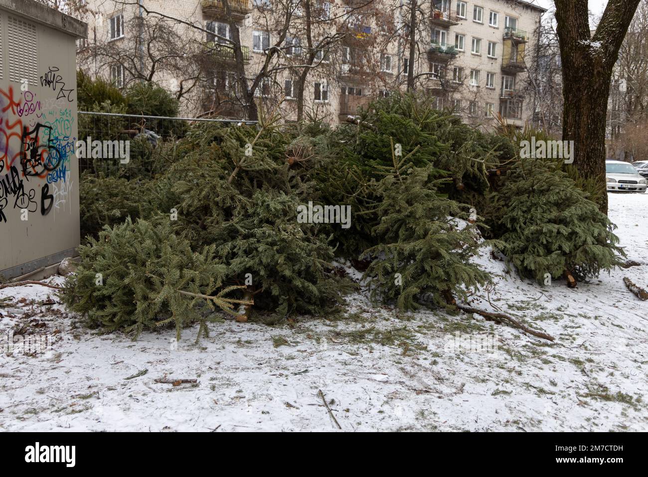 Christmas tree dump hi-res stock photography and images - Page 2 - Alamy