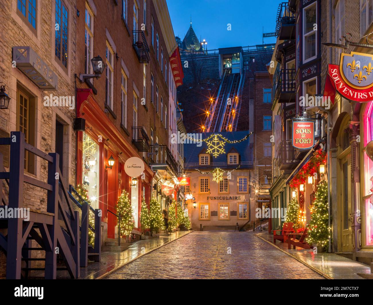 Petit Roulet「 City Lights 」 Petit Roulet「 City Lights 」