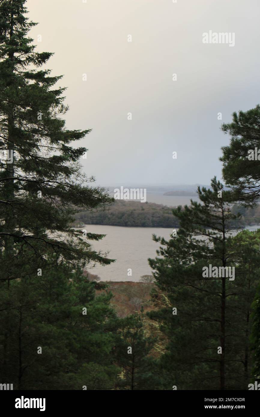 View of Muckross Lake from Torc Mountain in Winter on an overcast day. Gray, ethereal green forest wallpaper background or screensaver Stock Photo