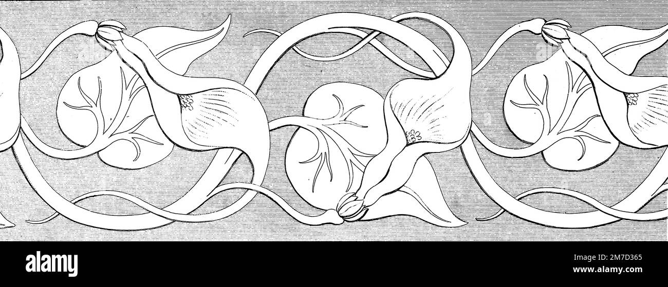 Calla flowers Borders designed from nature : a species of birthwort, curious for the long tail with which the petal of the corolla terminates; the borders are calculated for stained-glass painting, china tiles, marquetry, silk, paper, japanning, plaster, and other objects from The practical cabinet maker & upholsterer's treasury of designs : house-furnishing & decorating assistant : in the Grecian, Italian, Renaissance, Louis-Quatorze, Gothic, Tudor, and Elizabethan styles : interspersed with designs executed for the royal palaces, and for some of the principal mansions of the nobility and gen Stock Photo