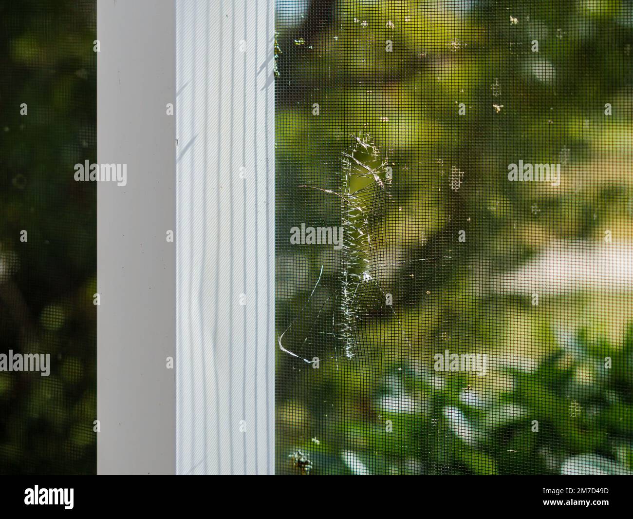 Swimming Pool cage frame enclosure mosquito screen with hole. Torn and