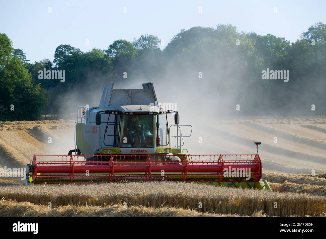 Combine harvester in the cotswold fields harvesting a field of wheat ...