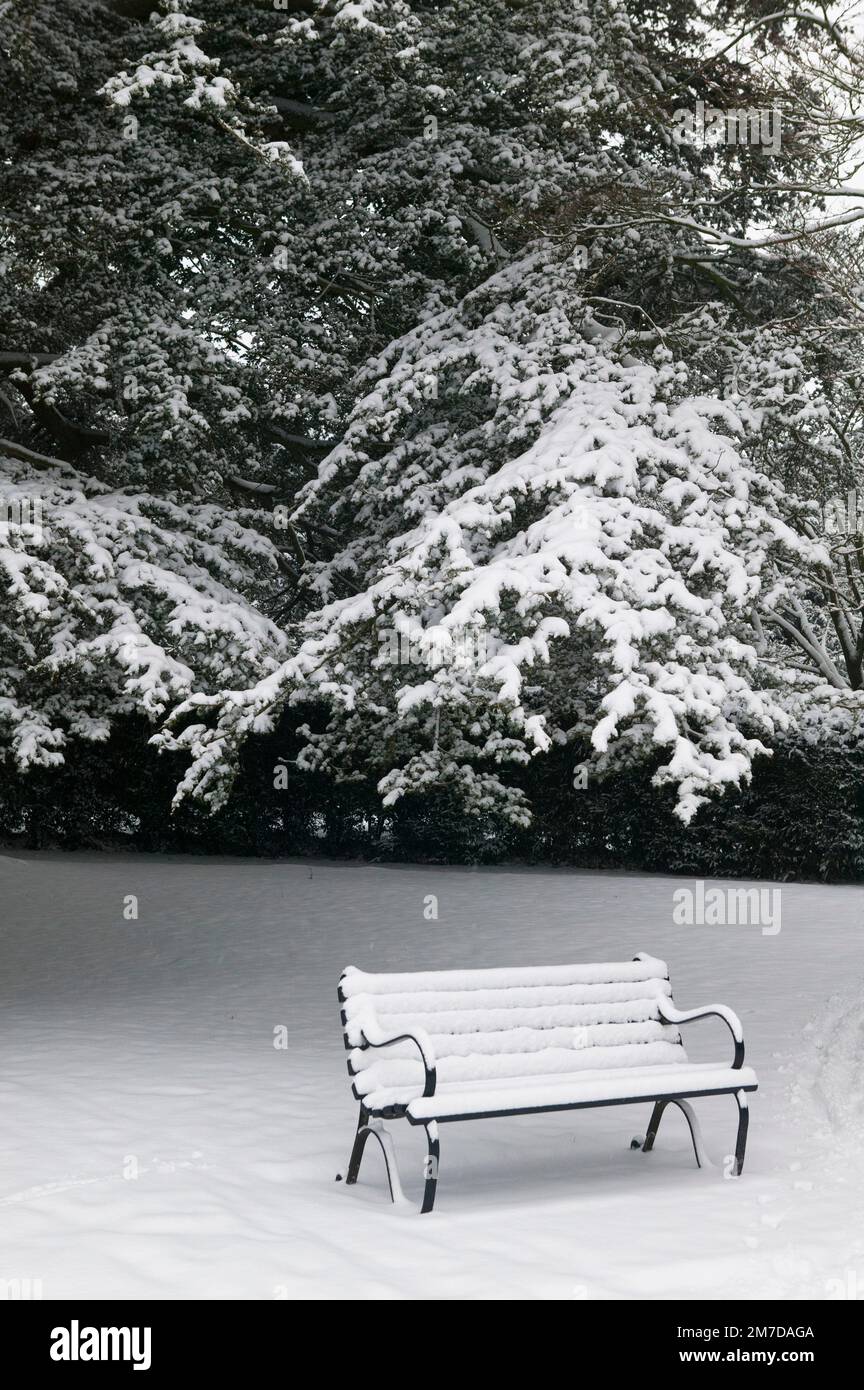 A park bench covered in a thick layer of snow Stock Photo - Alamy