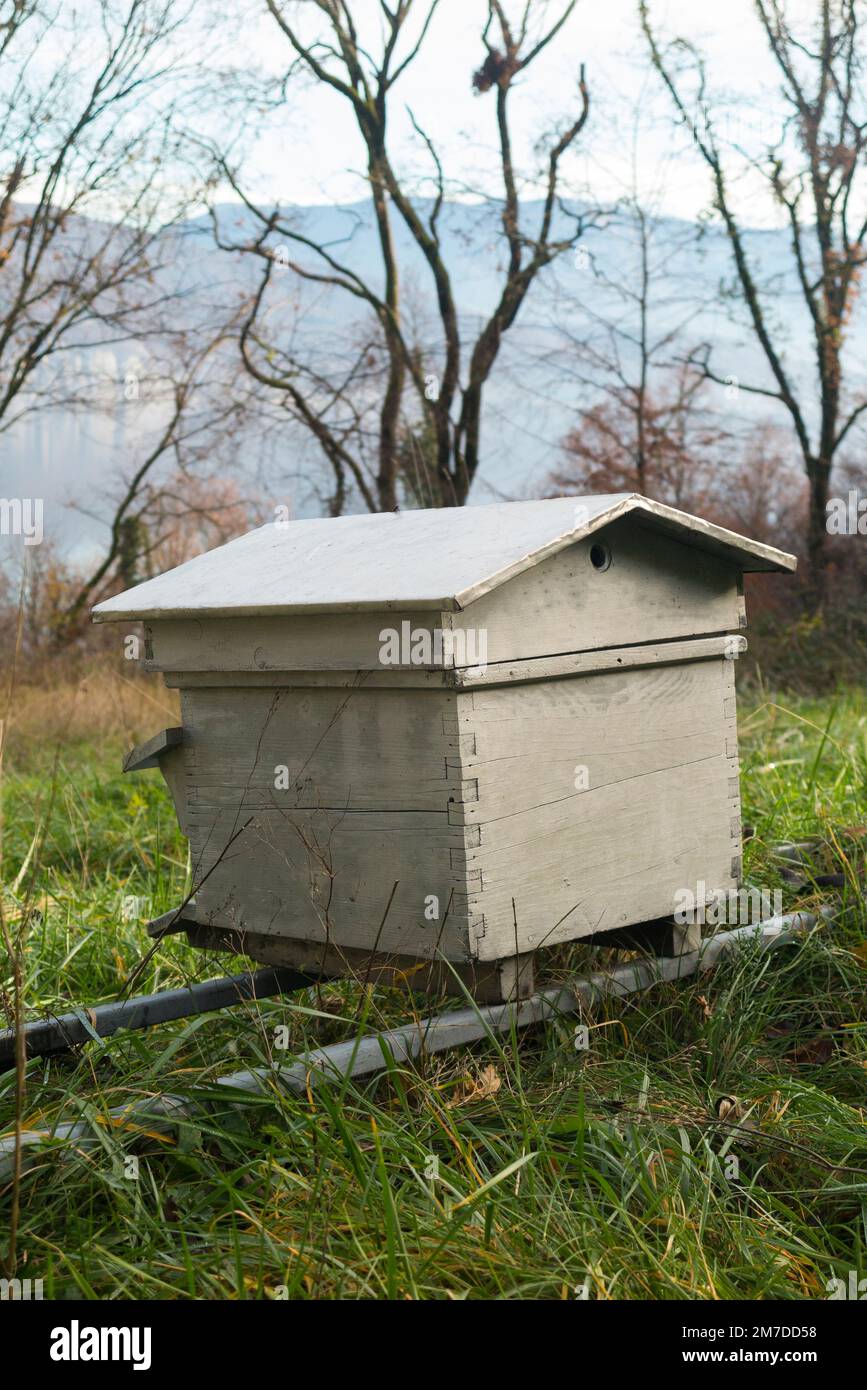 Country field with bee hive, in the winter months. Beekeeping / bee