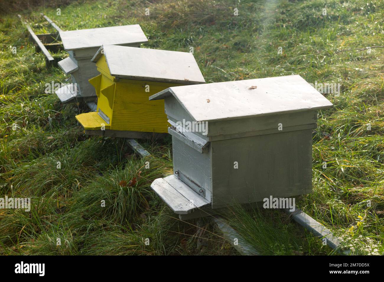 Country Field With Bee Hive, In The Winter Months. Beekeeping / Bee ...