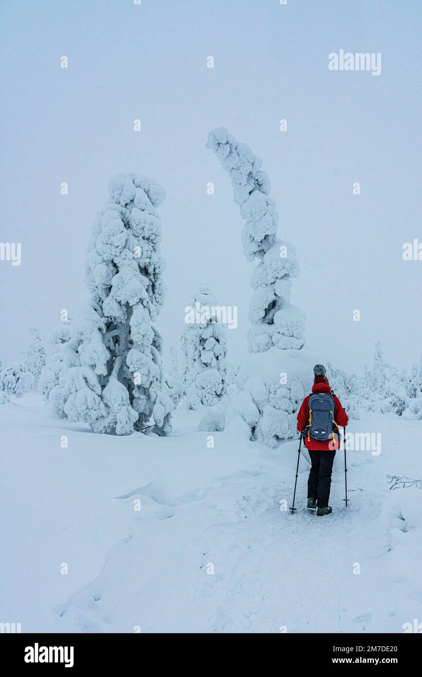 Woman admiring the ice sculptures standing in the snow on a winter trail, Riisitunturi National Park, Posio, Lapland, Finland Stock Photo