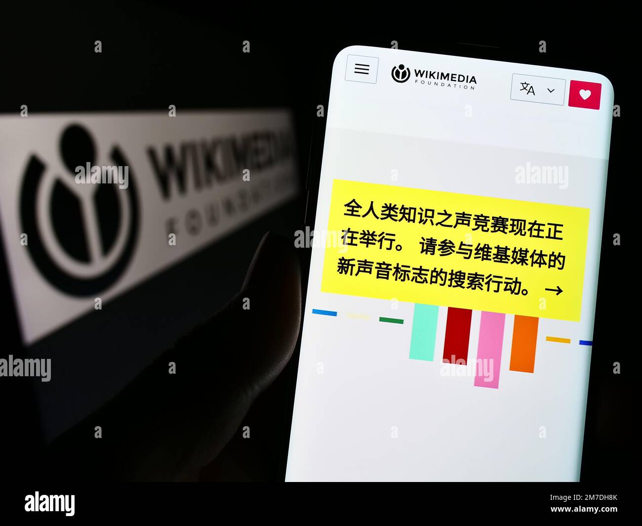 Person holding cellphone with webpage of Wikimedia Foundation Inc. (Wikipedia) on screen in front of logo. Focus on center of phone display. Stock Photo