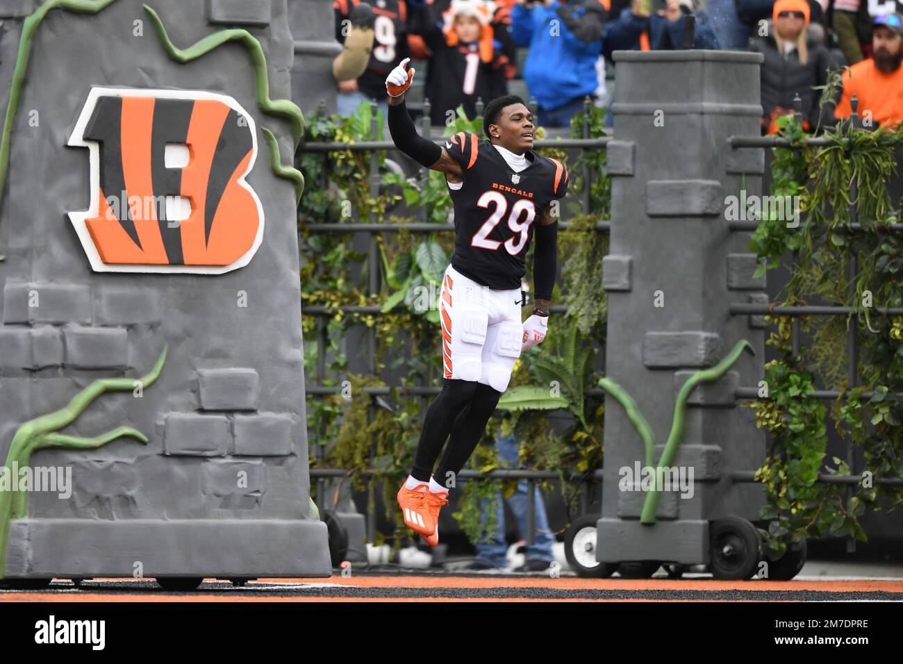 Cam taylor-britt Cincinnati Bengals Unsigned Celebration Photograph