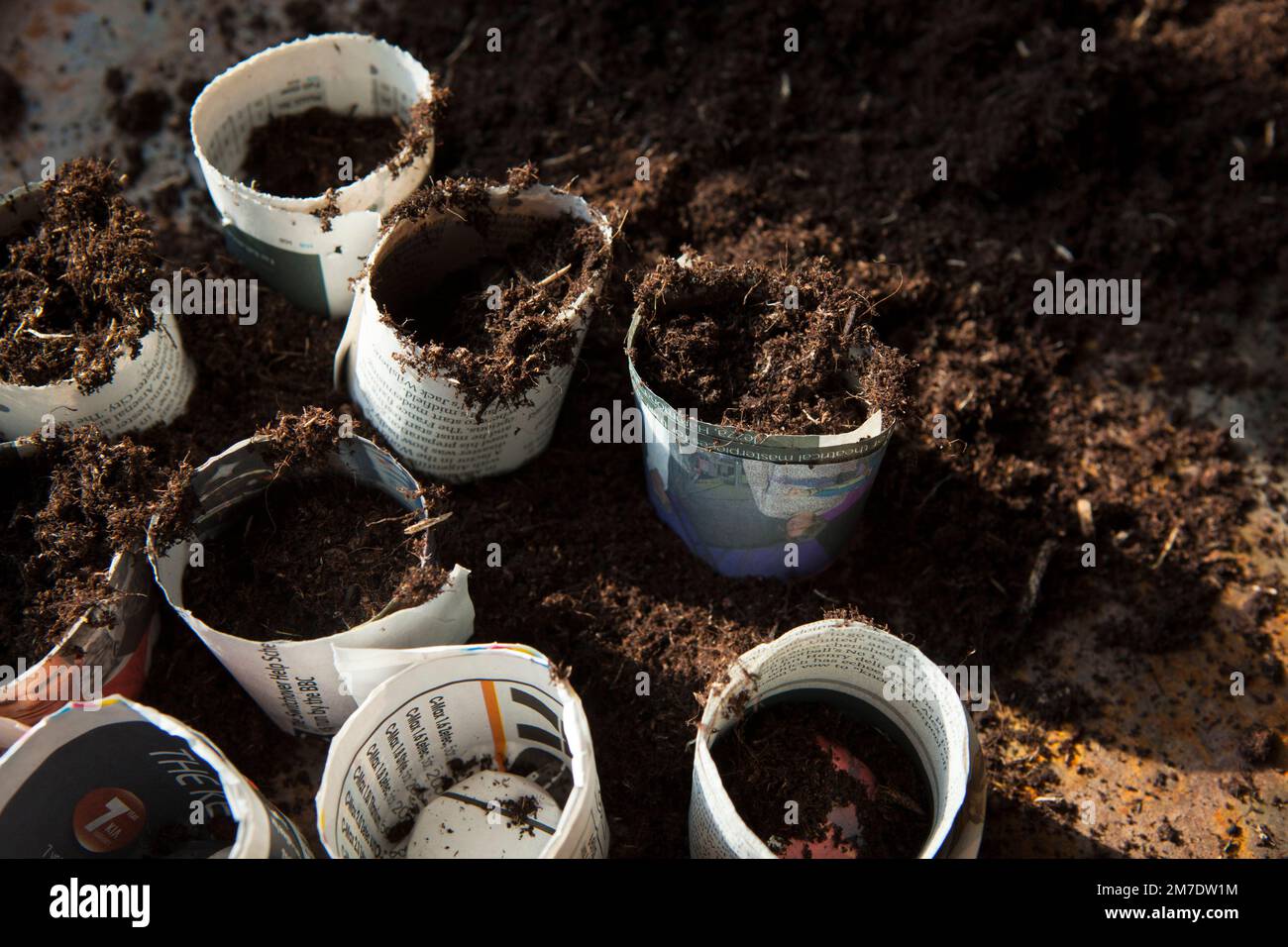 Home made plant pots for seedlings, made from old recycled newspapers