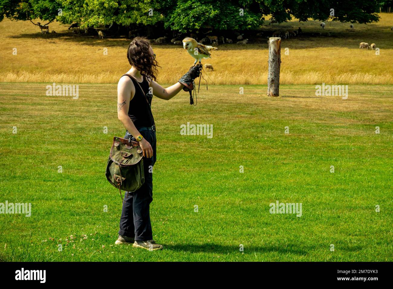 National Centre for Birds of Prey - Visit Helmsley Visit Helmsley