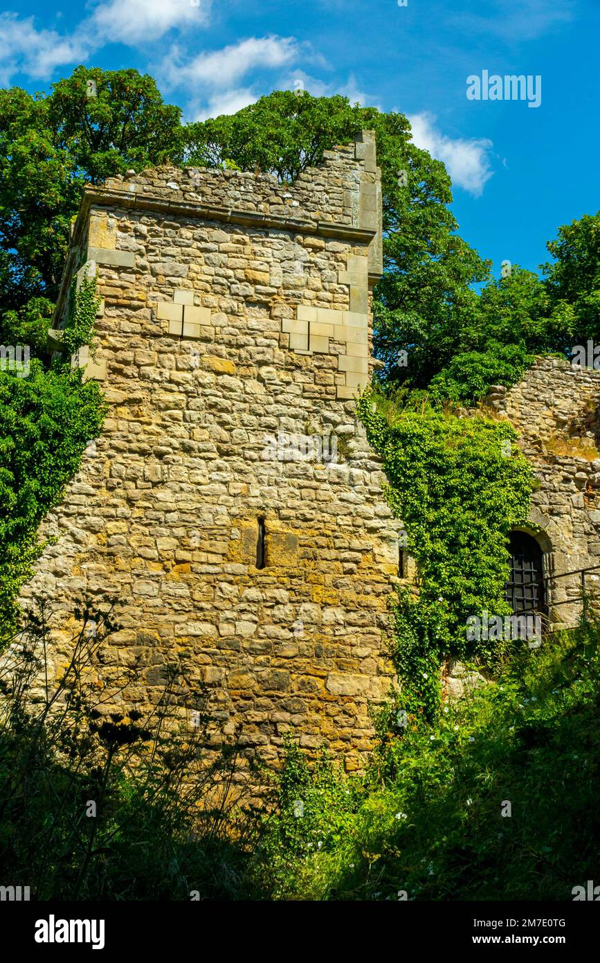 Remains of Pickering Castle a motte and bailey fortification in North Yorkshire England UK originally built by the Normans in 1070. Stock Photo