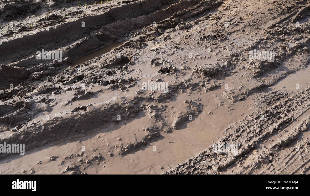 Muddy field with tire tracks and puddles. Dirty road with mud truck