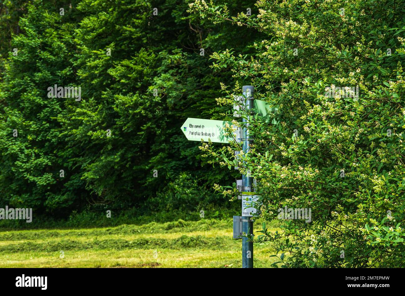 Signpost at the edge of a forest on a Swabian Alb hiking trail between Seeburg and Muensingen, Baden-Wurttemberg, Germany. Stock Photo