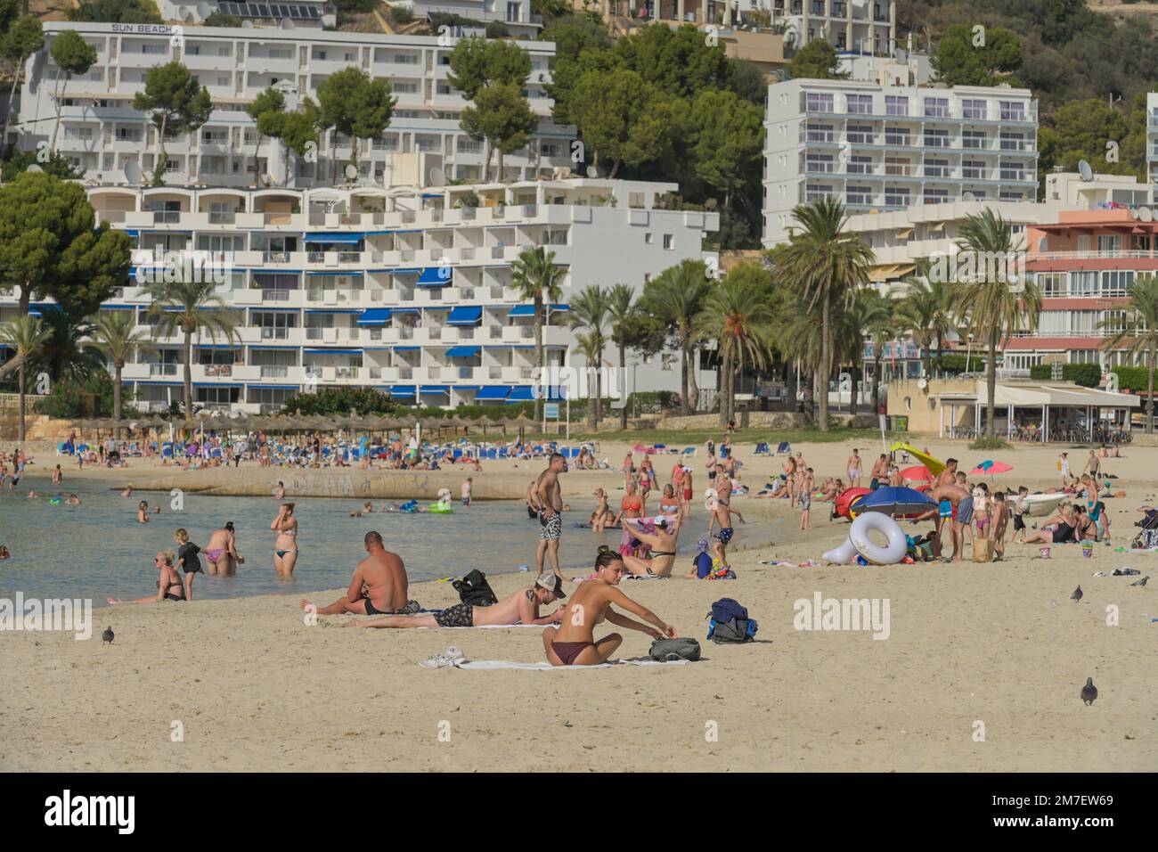 Sandstrand, Badebucht, Hotels, Santa Ponca, Mallorca, Spanien Stock Photo