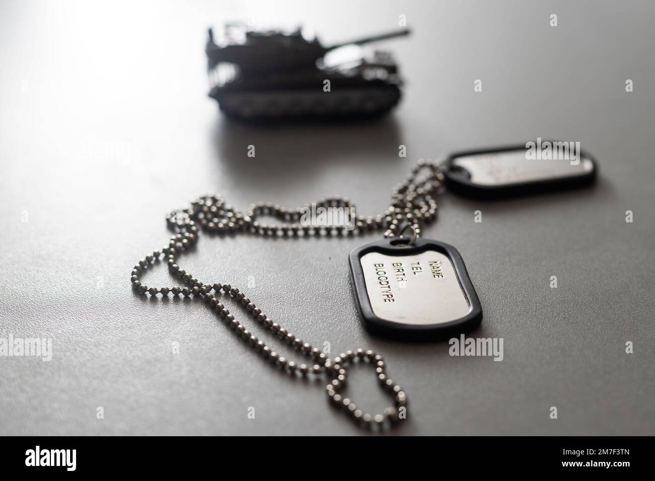 Military ID tags isolated on white background Stock Photo - Alamy