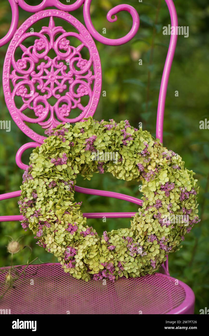 Script Flower Hydrangea Chair Hydrangea flower wreath on a garden chair Stock Photo - Alamy