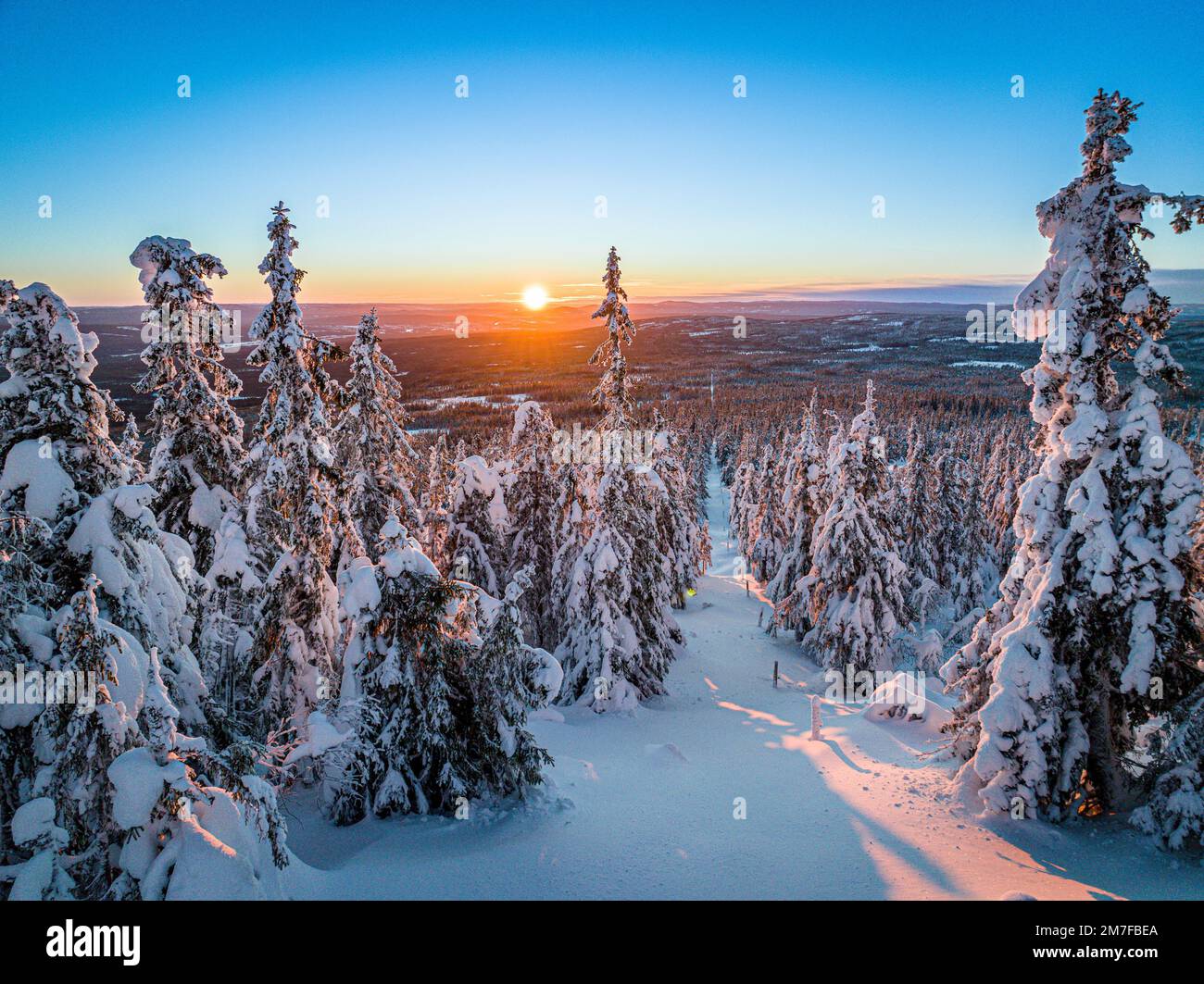 A scenic view of a forest with trees covered in white snow in winter at ...