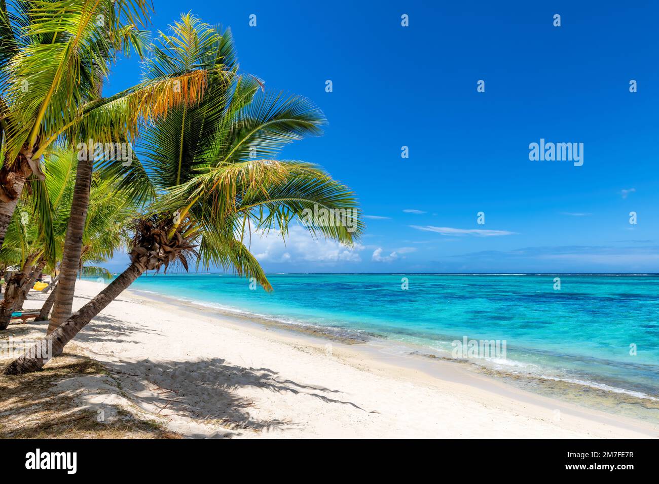 Beautiful beach with palm trees and tropical sea in Paradise island ...