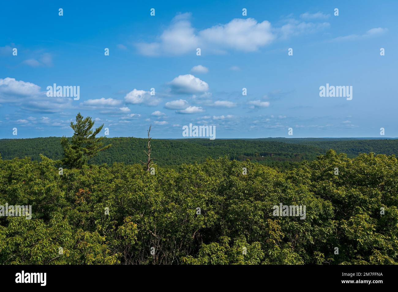 Spectacular view from the fire tower at Cook Forest State Park in Pennsylvania. Stock Photo