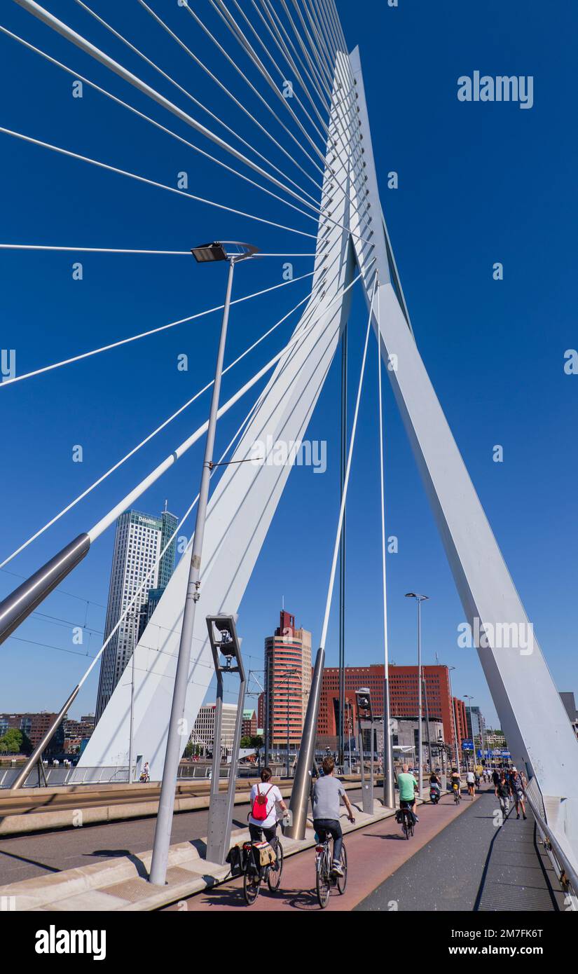 Holland, Rotterdam, View of the Erasmusbrug or Erasmus Bridge over the Nieuwe Maas River with cyclists and pedestrians in transit. Stock Photo