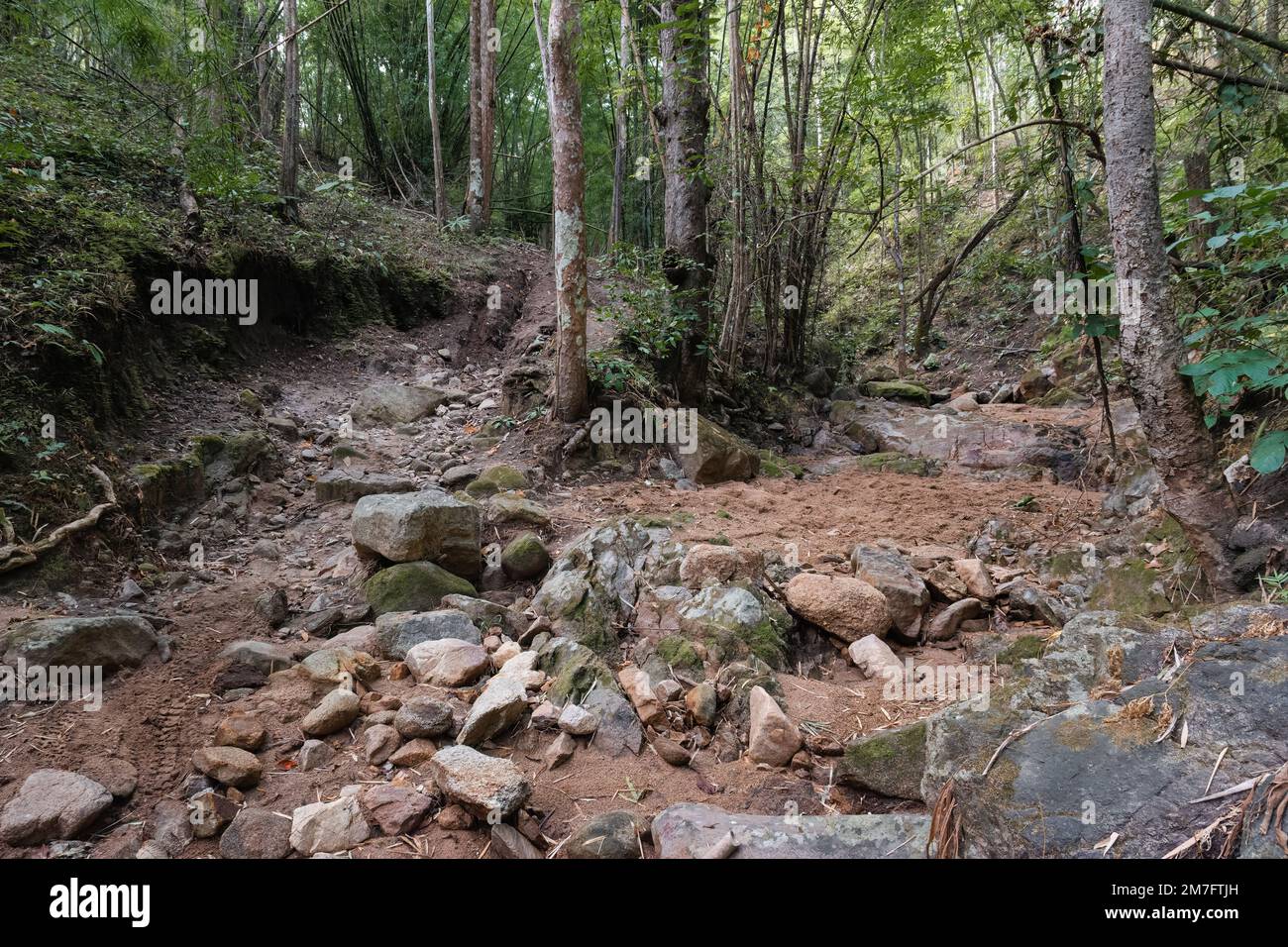 Dry riverbed in the jungle with sand and rocks Stock Photo