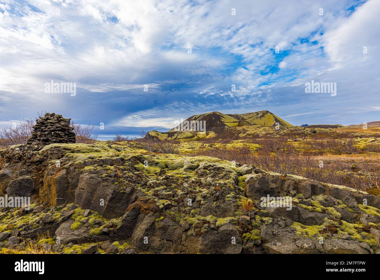 Autumn inland landscape overgrown with mosses and lichens, western Iceland Stock Photo