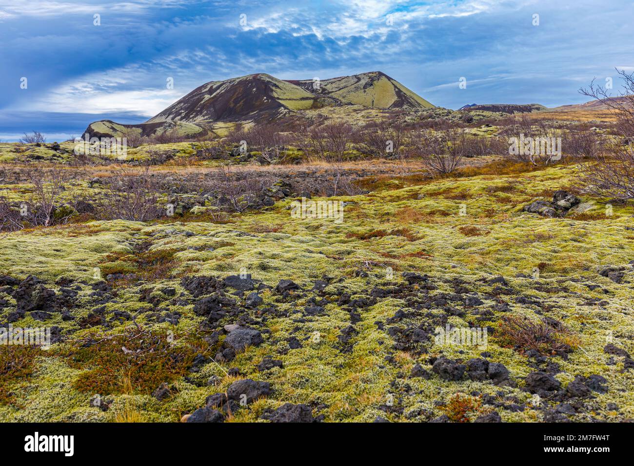 Autumn inland landscape overgrown with mosses and lichens, western Iceland Stock Photo