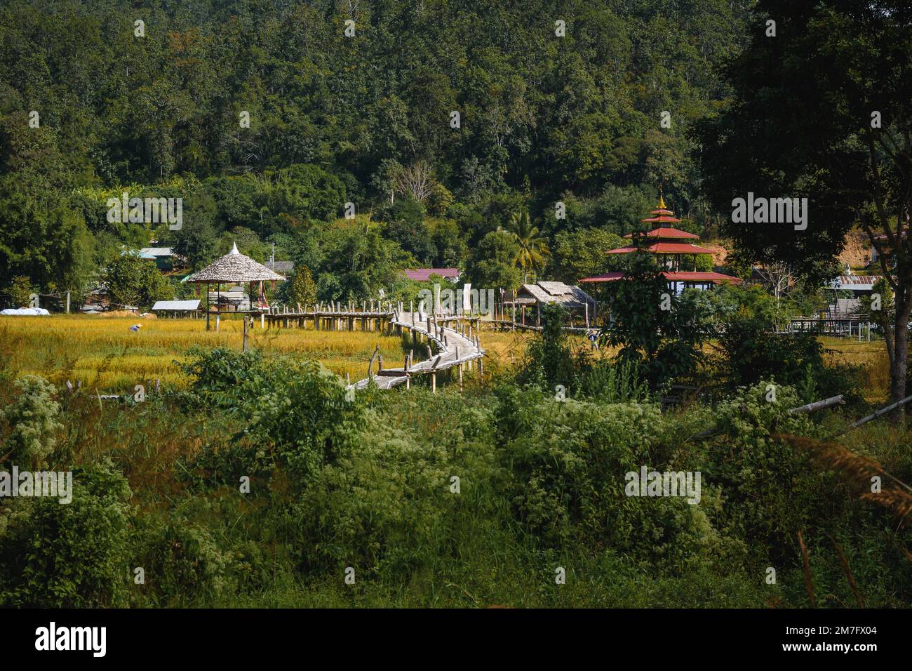 Kho Ku So Bamboo Bridge over the rice fields in Pai, Norhern Thailand Stock Photo