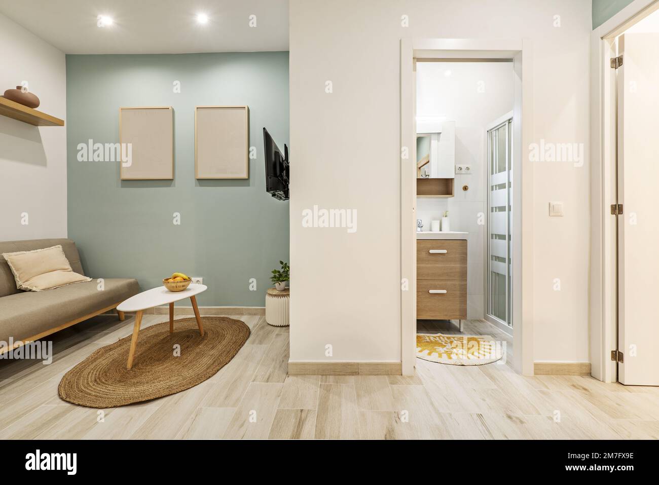 Small studio apartment with bathroom with wooden furniture, sofa bed ...