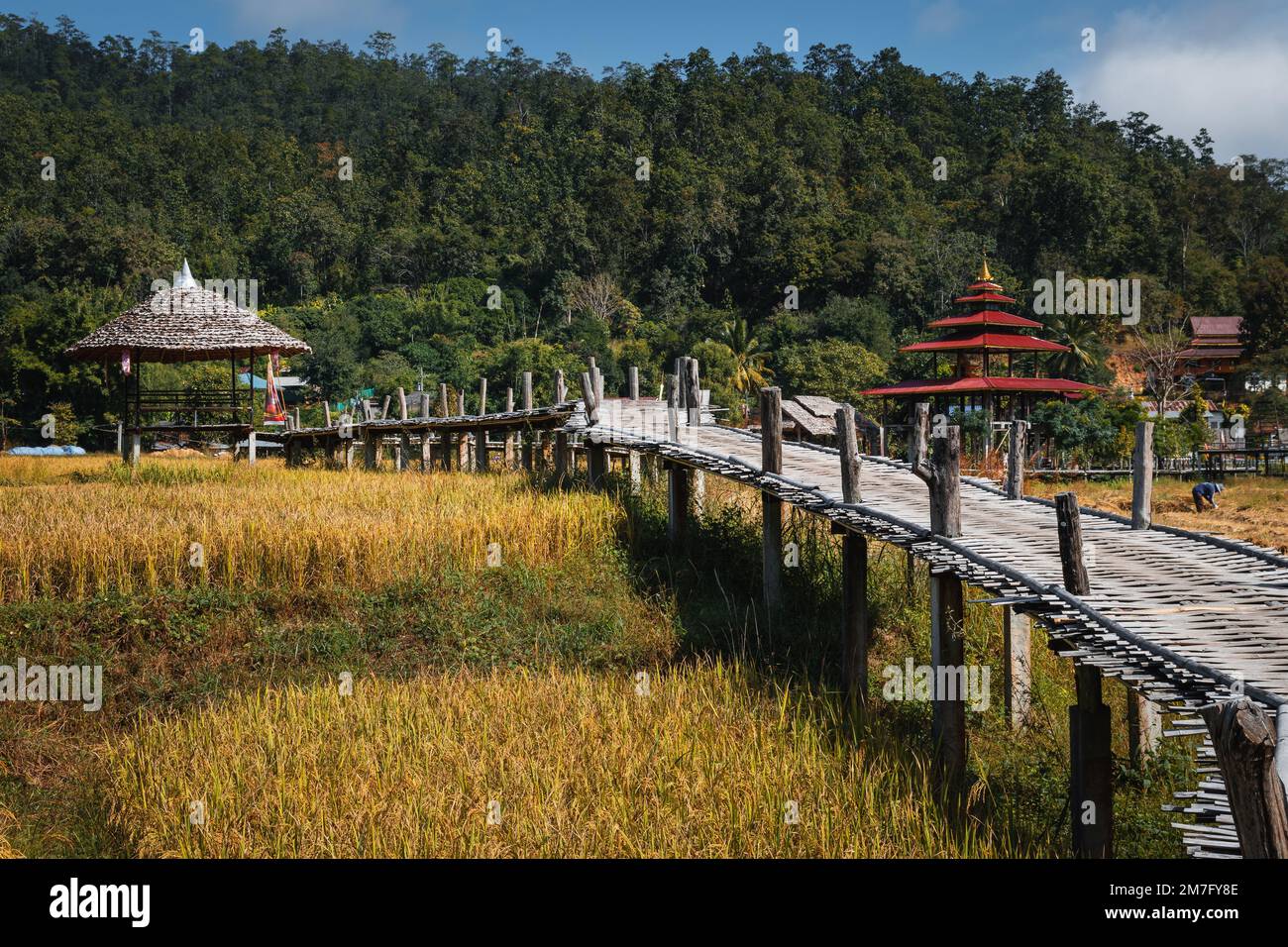 Kho Ku So Bamboo Bridge over the rice fields in Pai, Norhern Thailand Stock Photo