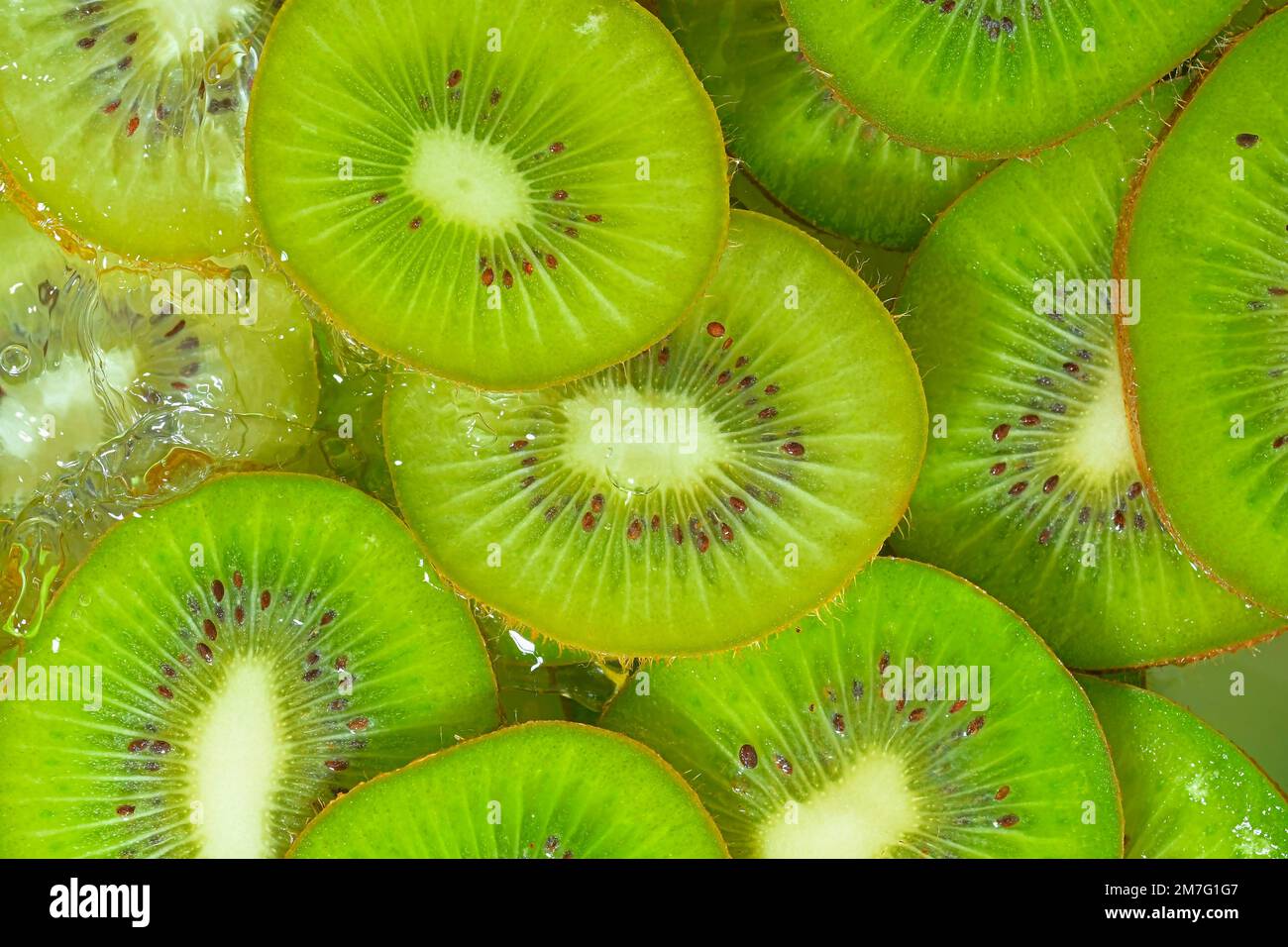 Close-up view of the green kiwi fruit slices in water background ...